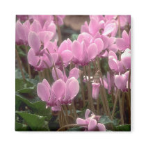 Pink Flowers magnets