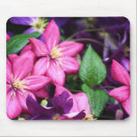 Pink flowers. mousepads