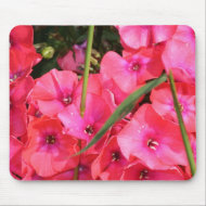 Pink Flowers mousepad