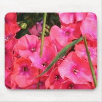Pink Flowers mousepads