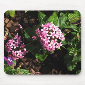 Pink Flowers Mousepad