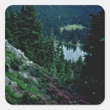 Pink Flowers Overlooking Lake flowers Sticker