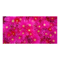 Pink flowers photo cards