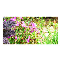 Pink Flowers photo cards