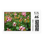 Pink flowers postage