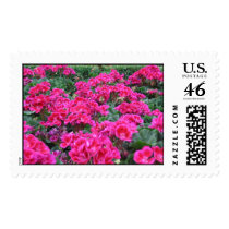 Pink Flowers postage by agila13 Pink Flowers postage