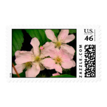Pink Flowers Stamps