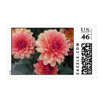 Pink Flowers Postage