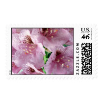 Pink Flowers Postage Stamp stamps