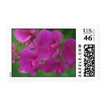 Pink Flowers Postage Stamp stamps