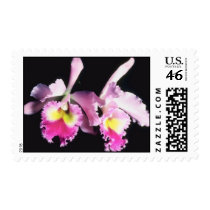 Pink Flowers Postage Stamps stamps