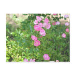 pink flowers
