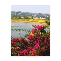Pink flowers postcards