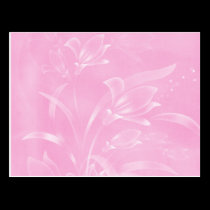 Pink Flowers Postcard postcards