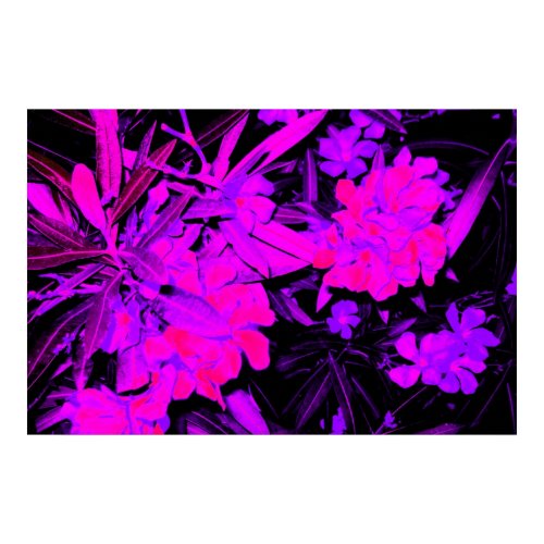 Pink Flowers Poster print