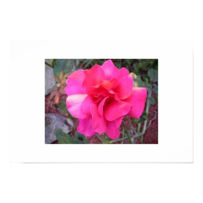 Pink flowers poster by tigermd
