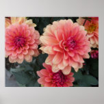 Pink Flowers Poster