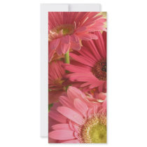 Pink flowers rack cards