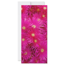 Pink flowers rack cards