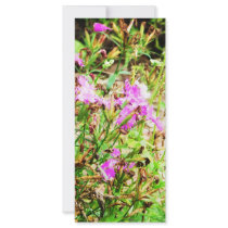 Pink Flowers rack cards by Catwing Pink Flowers rack cards
