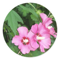 Pink Flowers Rose of Sharon with Bee stickers