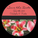 Pink Flowers Save the Date Sticker stickers