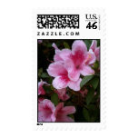 Pink flowers | Stamp postage Pink flowers | Stamp postage
