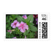 Pink Flowers Stamp stamps