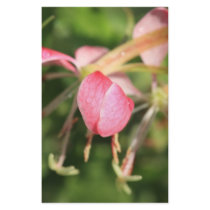 Pink Flowers Stationery by Jrtmedia Pink Flowers Stationery