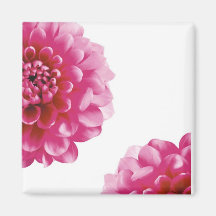 pink flowrs fridge magnet