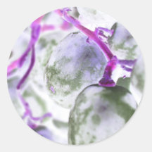 pink fluorescence round sticker