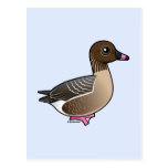 Pink-footed Goose Post Cards