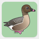 Pink-footed Goose Square Stickers