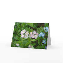 Pink Forget-Me-Nots cards