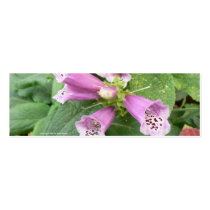 Pink Foxglove Business Card Templates