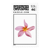 pink frangi panni postage