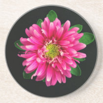 Pink Frills coasters