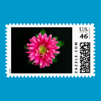 pink frills postage stamps