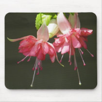 Pink Fuschia Mousepad by dlgray Pink Fuschia Mousepad