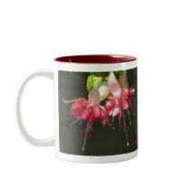 Pink Fuschia Mug by dlgray Pink Fuschia Mug