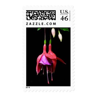 Pink Fuschia Postage Stamps stamp