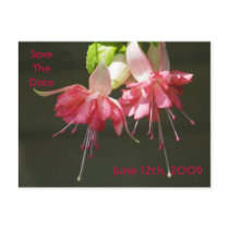 Pink Fuschia Save The Date Postcard