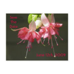 Pink Fuschia Save The Date Postcard