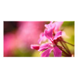 Pink garden flower photo card