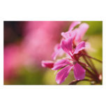 Pink garden flower stationery design
