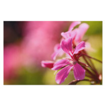 Pink garden flower stationery design