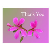 Pink garden flower thank you postcards. post cards