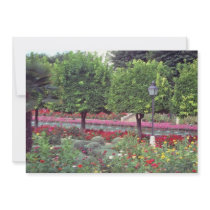 Pink Gardens of the Alcazar, Cordoba, Spain flower Custom Announcements