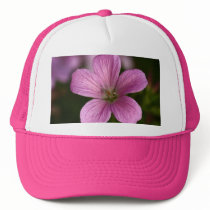 Pink Geranium hats