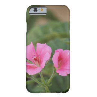 Pink Geranium iPhone Case Barely There iPhone 6 Case